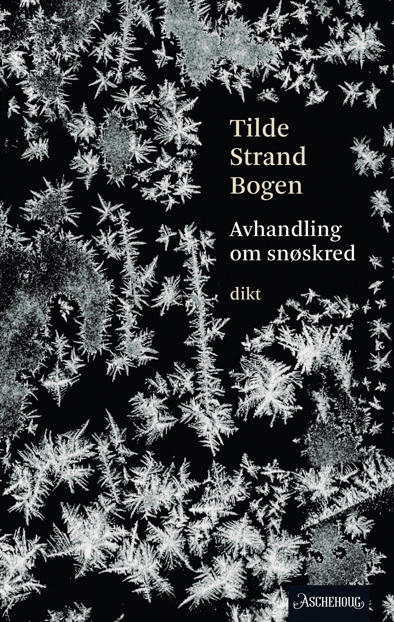 Avhandling om snøskred av Tilde Strand Bogen
