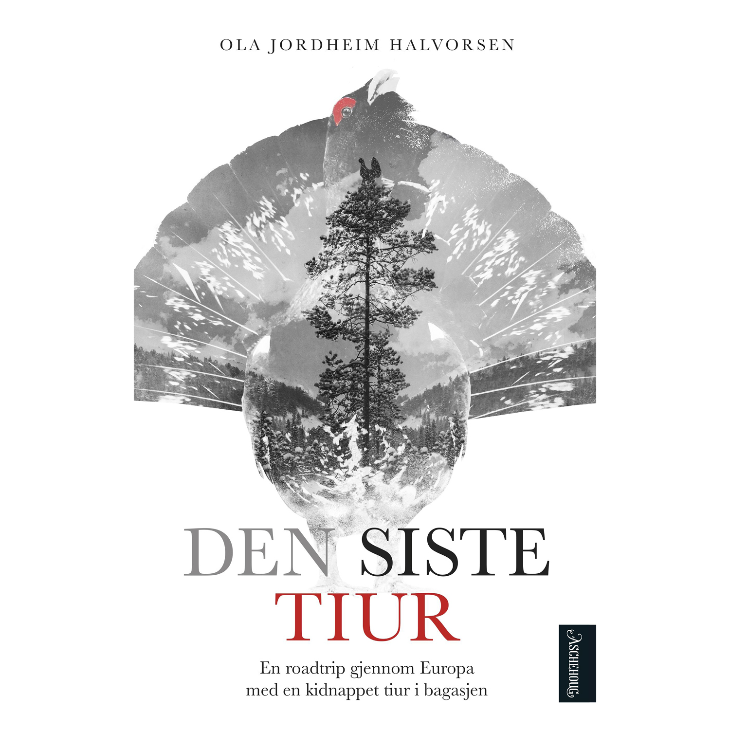 Terningkast 5 til "Og forresten heter jeg Leah"